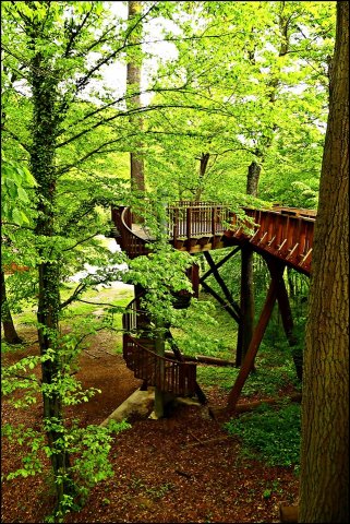 58729814_2284589221634441_5553217612206309376_n