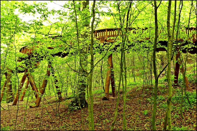 58758438_2284589271634436_195156764105113600_n