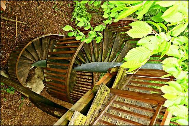 58870305_2284589081634455_3038009541611487232_n