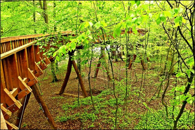 58933398_2284589111634452_4305594720127549440_n