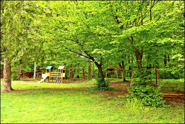 59106181_2284588984967798_6859398552255201280_n