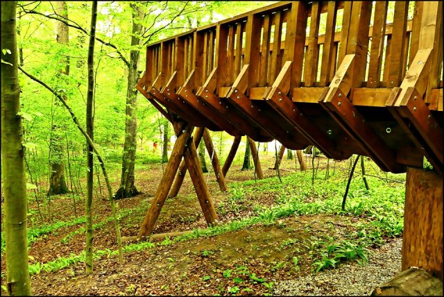 59345342_2284589068301123_29806196860911616_n