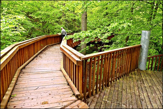 59517715_2284588974967799_7201831815114391552_n